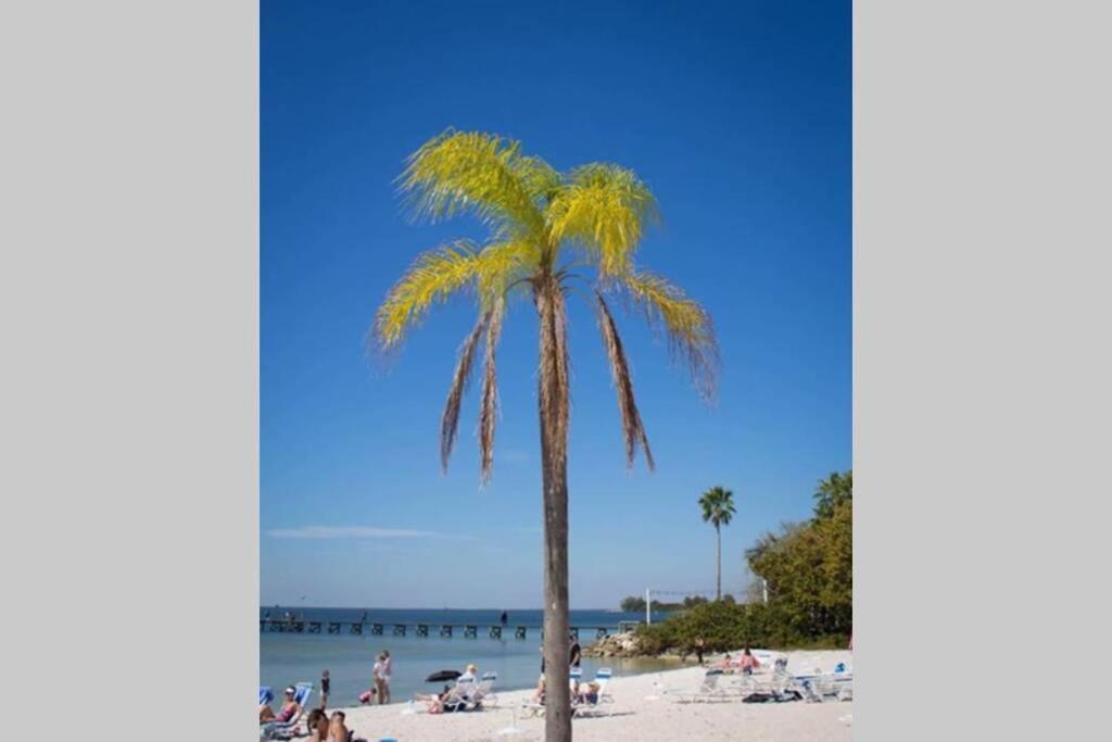 Riverview, Studio 507, Beach Steps Away!+Pool+Wifi 拉斯金 外观 照片