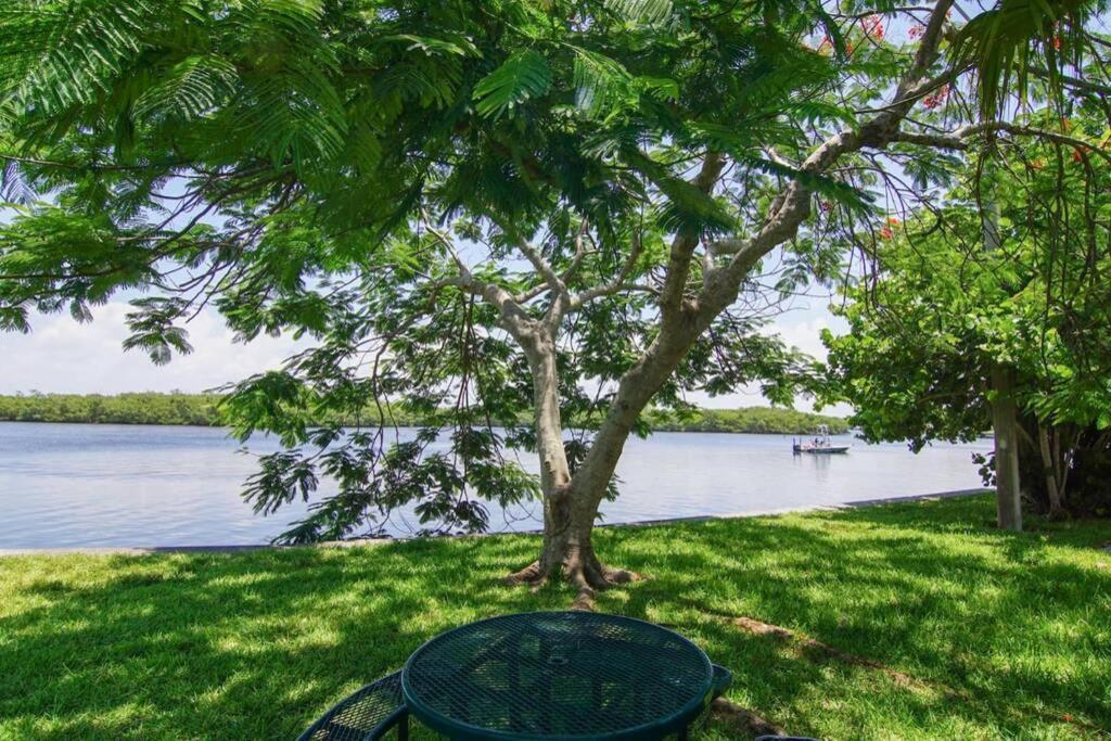 Riverview, Studio 507, Beach Steps Away!+Pool+Wifi 拉斯金 外观 照片